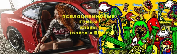 spice Лиски