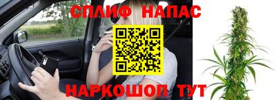 a pvp Дубна