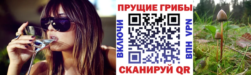 Псилоцибиновые грибы мухоморы  купить наркотик  Майский 