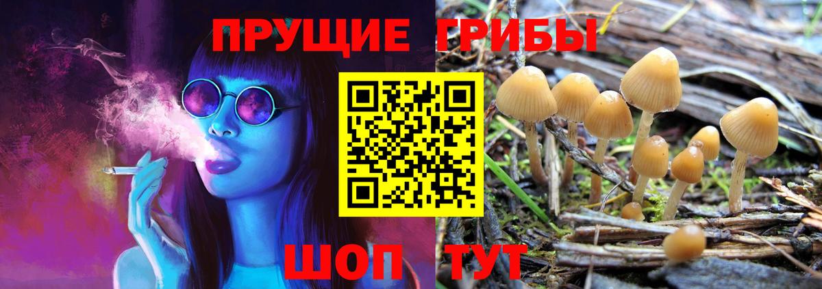 Псилоцибиновые грибы MAGIC MUSHROOMS  Вход с VPN  Майский 